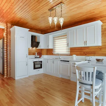 Eco Zeytin Villa *