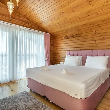 Eco Zeytin Villa *